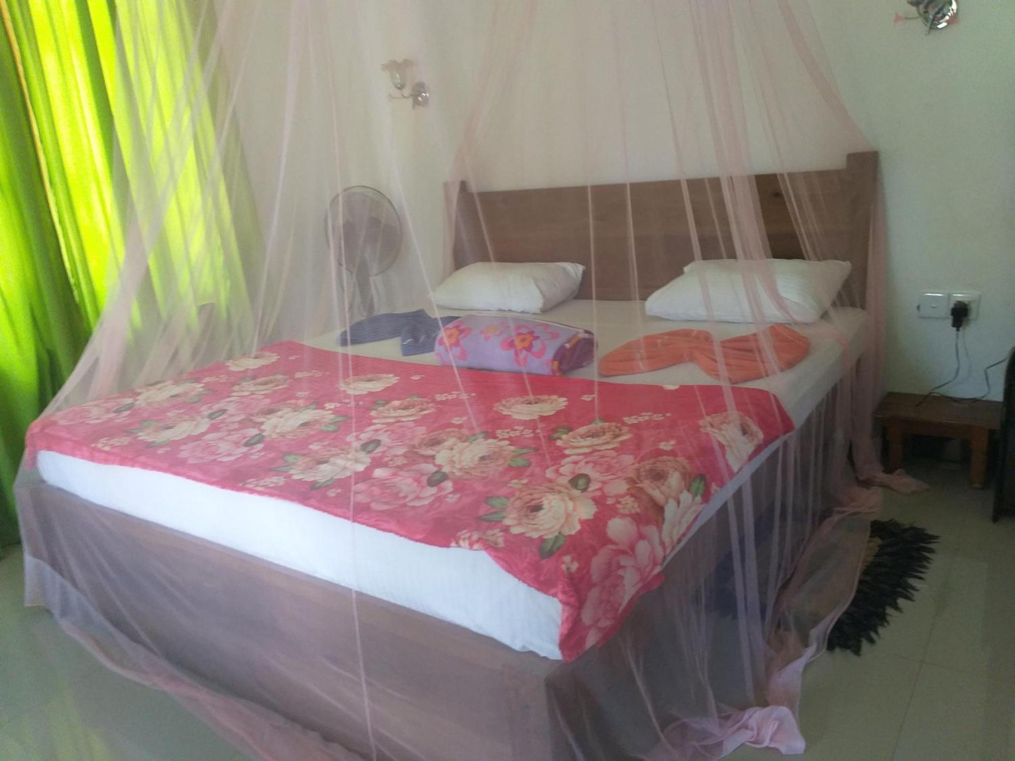 אלה Nine Arch Araliya Homestay מראה חיצוני תמונה