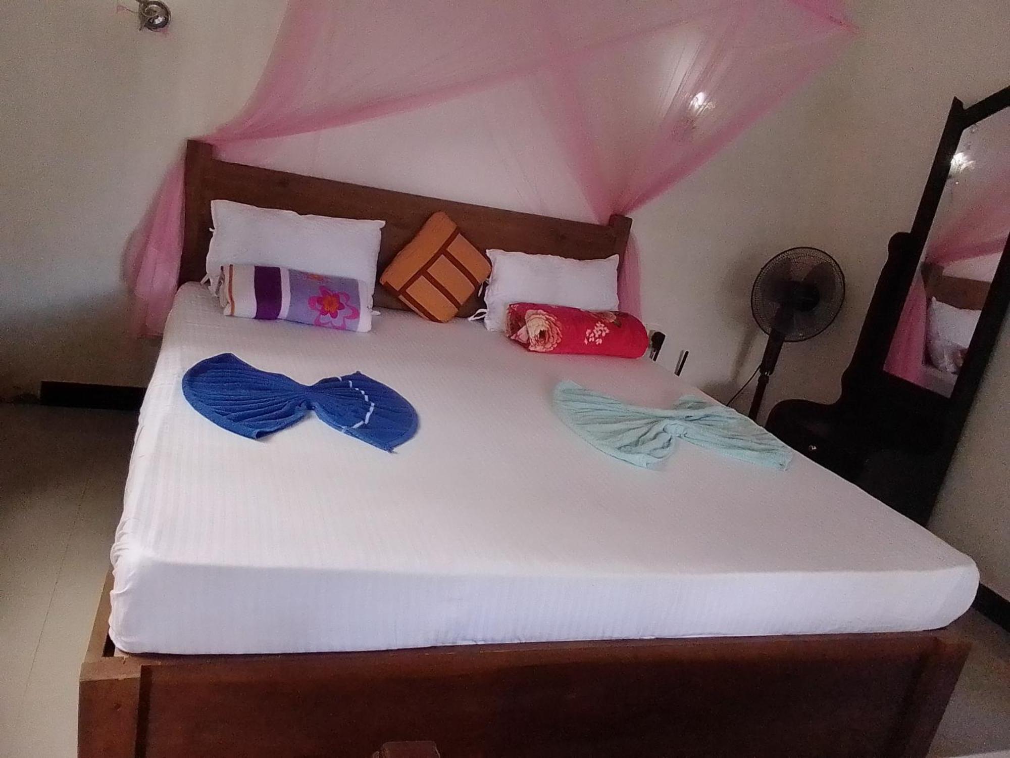 אלה Nine Arch Araliya Homestay מראה חיצוני תמונה