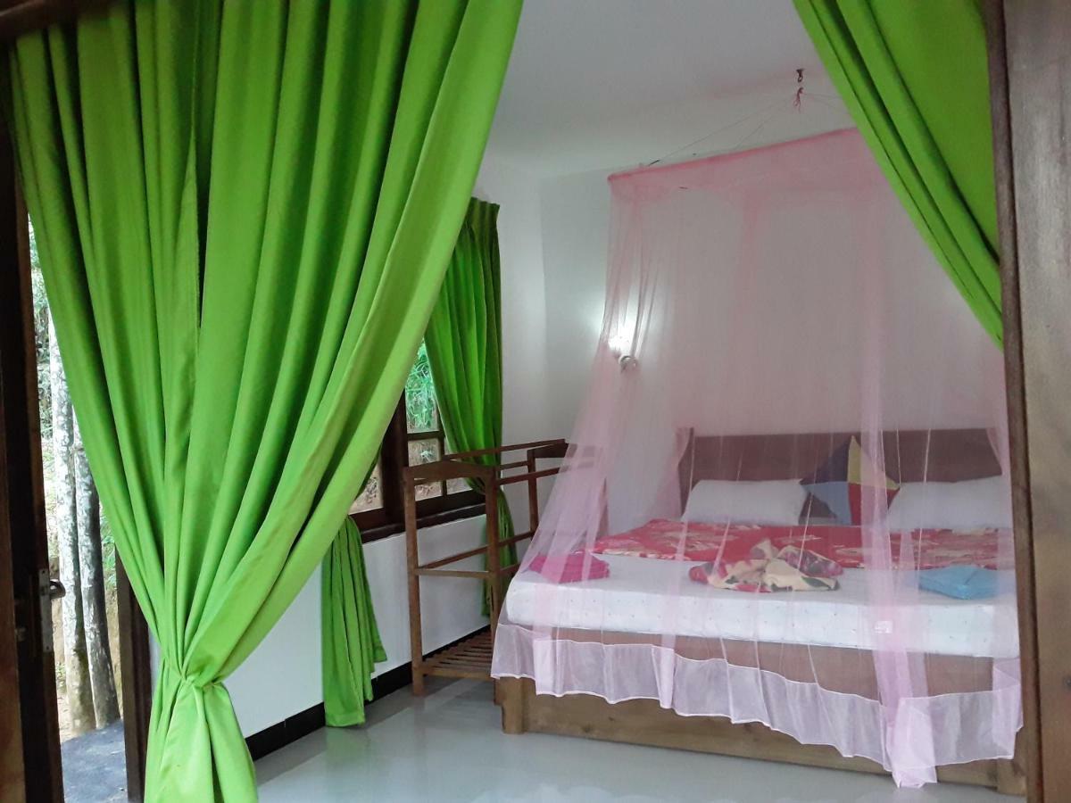 אלה Nine Arch Araliya Homestay מראה חיצוני תמונה